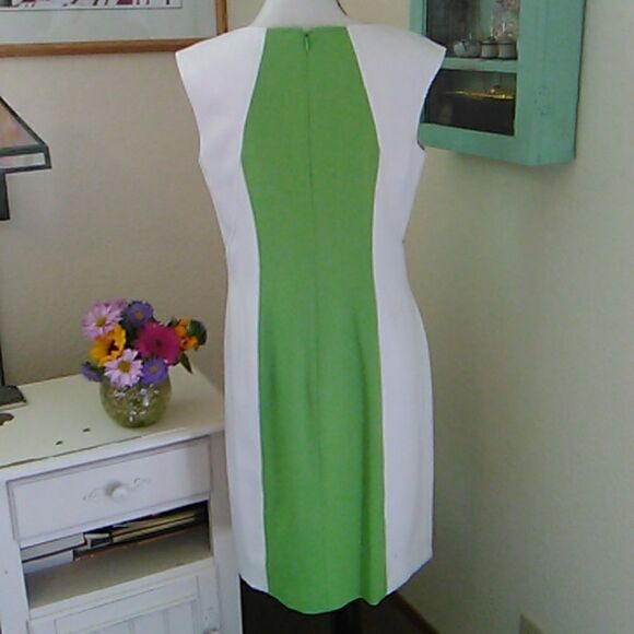 Ellen Tracy Beautifully Seamed Colorblock Dress - Picture 7 of 11